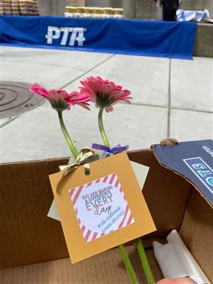 Flowers for Teachers